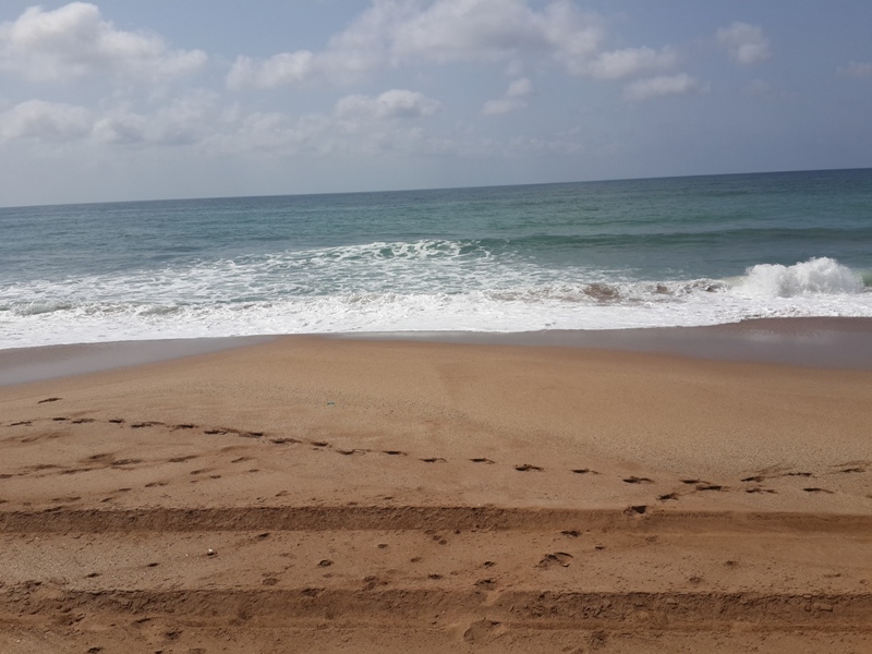 ساحل خرچنگ ها 