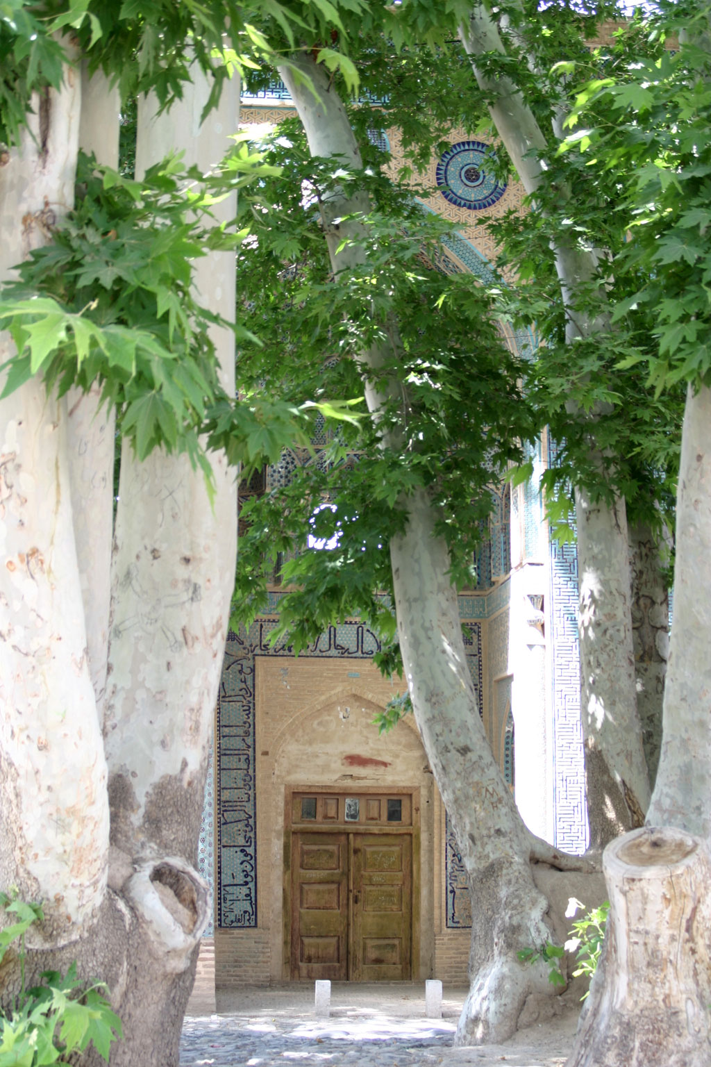  ورودی مسجد جامع نطنز و درخت چنار کهنسال روبروی آن