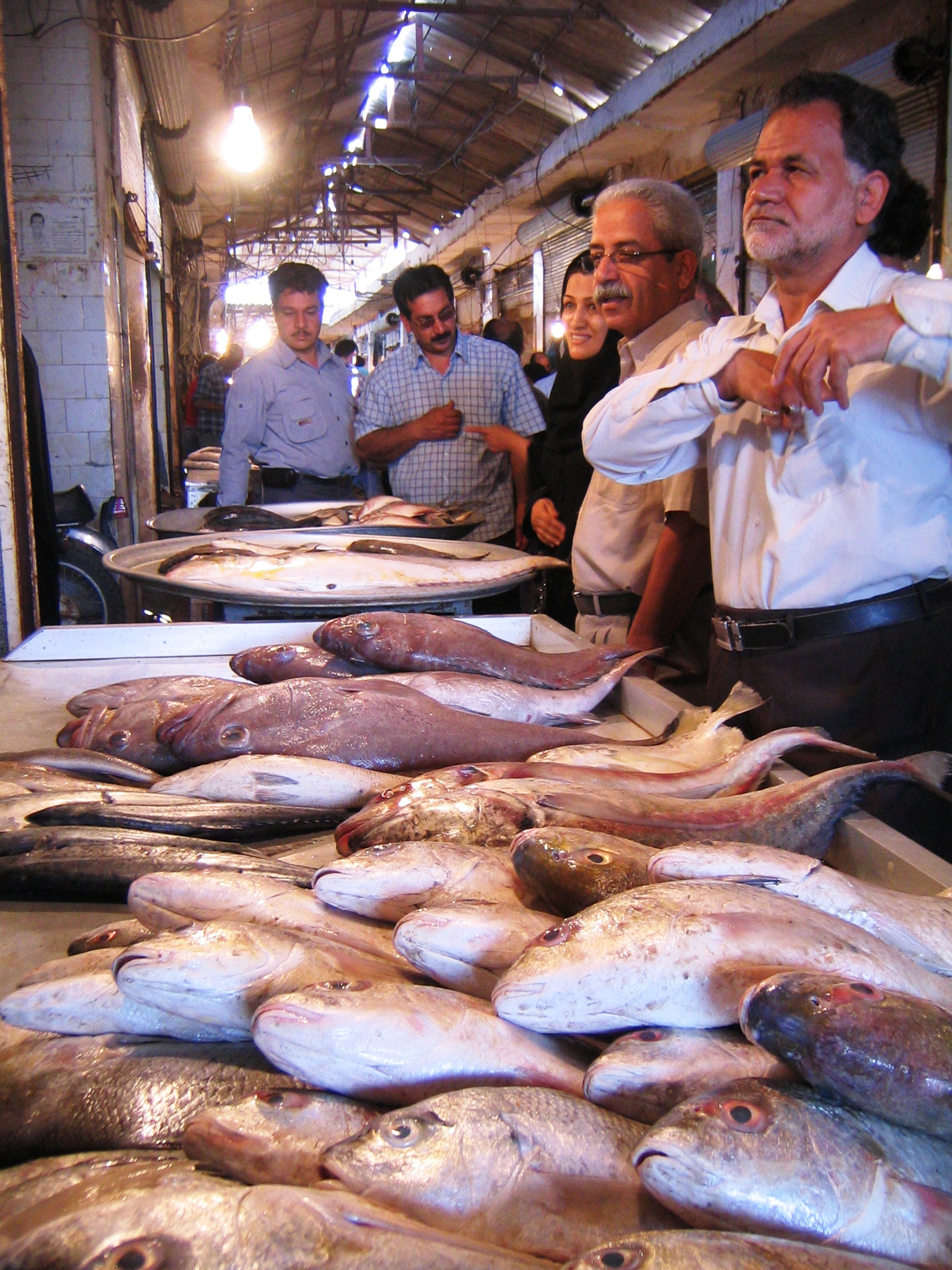 بازار ماهی فروشهای بوشهر 
