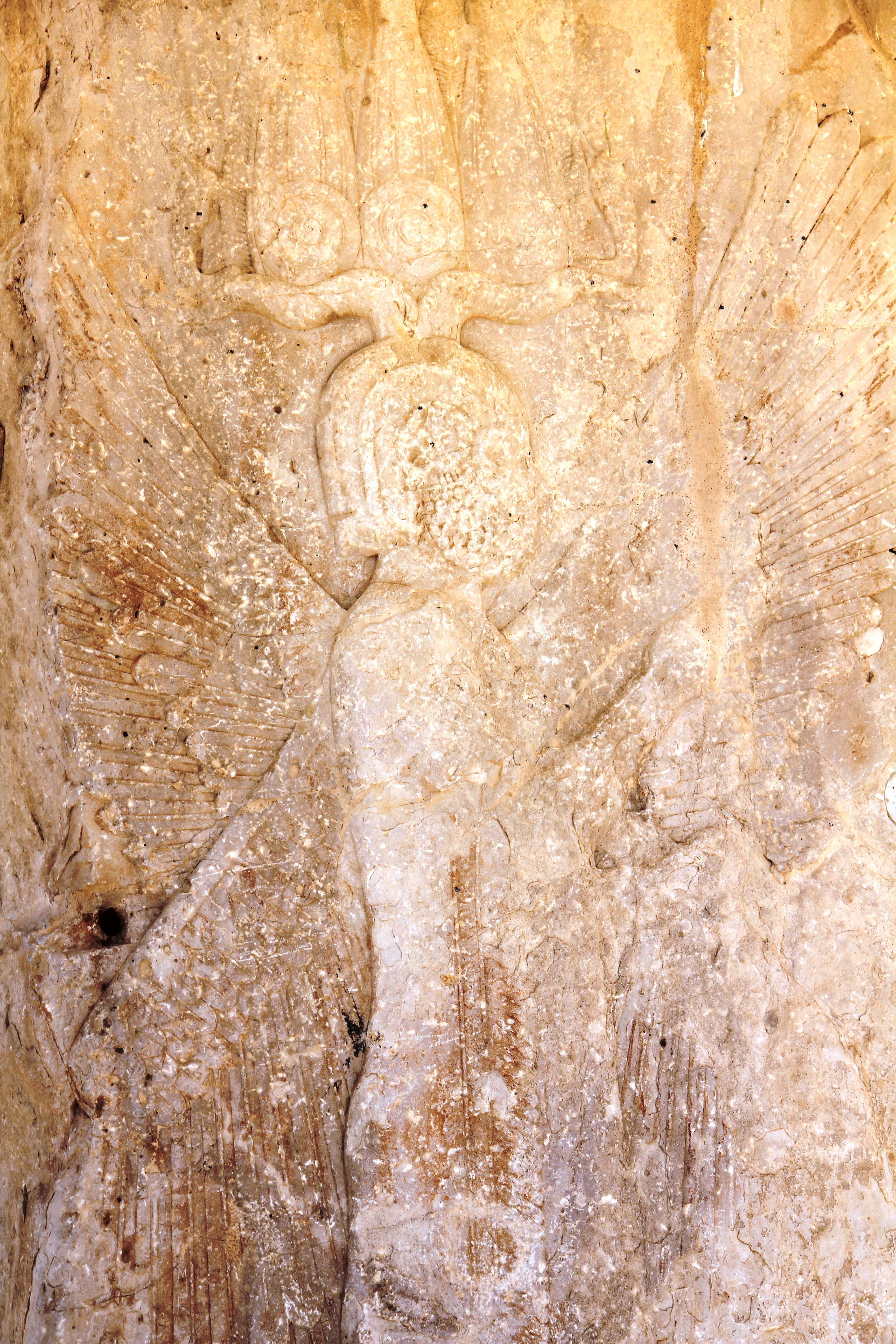  تصویر منتسب به کوروش در کاخ ورودی  پاسارگاد 