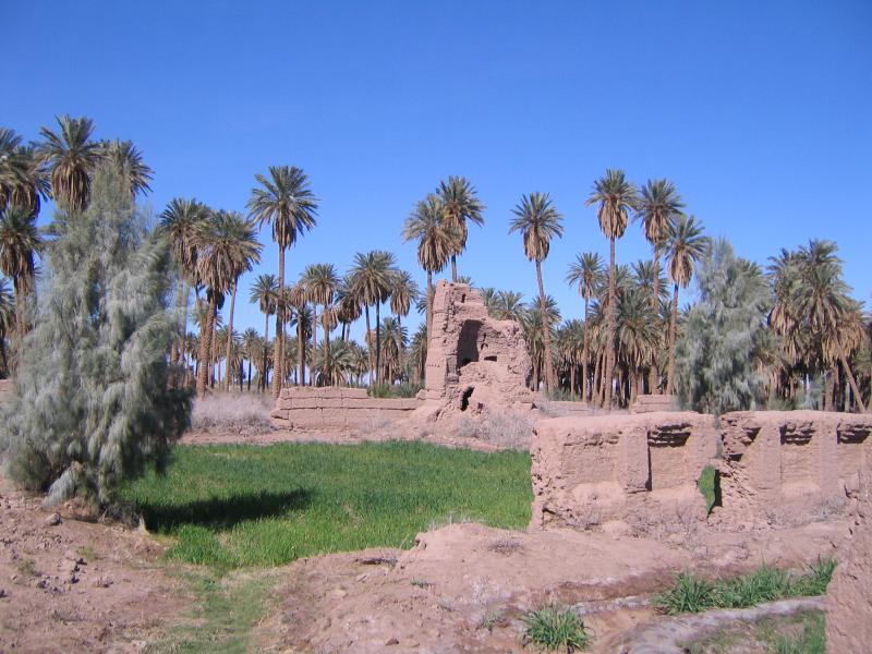 Shafiabad Castle, Shahdad 