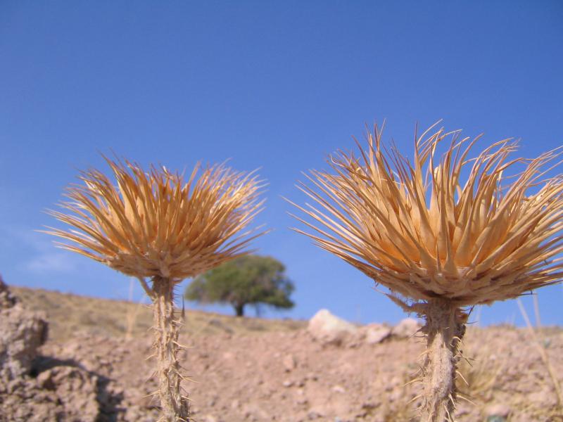 Khojir National Park 
