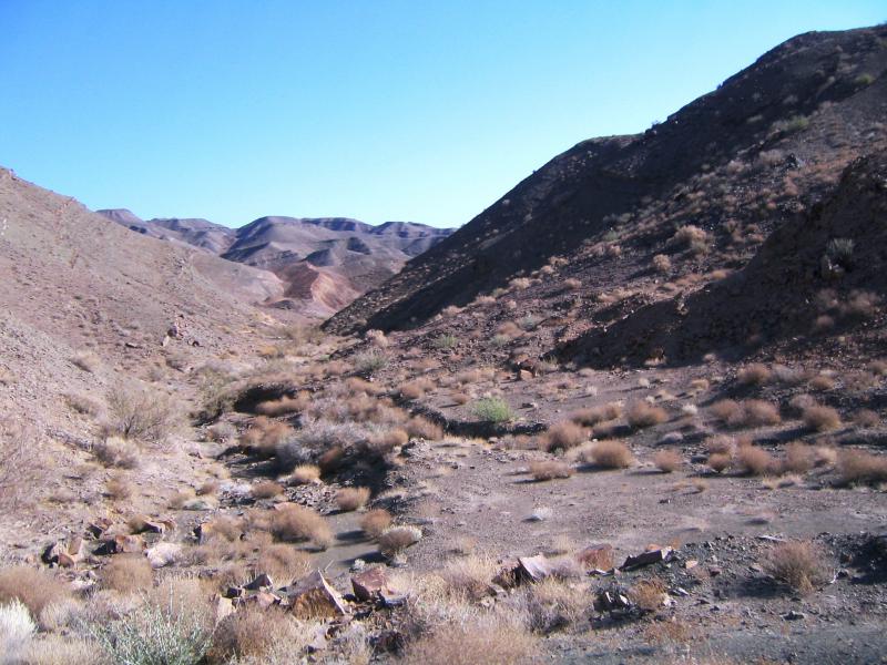 Nehbandan protected area 