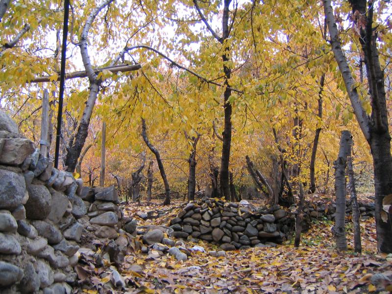 پاییز در سنگان 