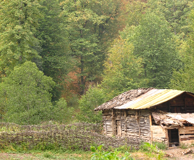 Rural Cottage